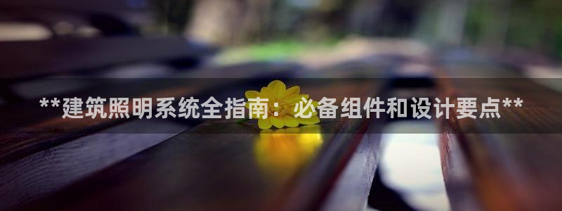 **建筑照明系统全指南:必备组件和设计要点**