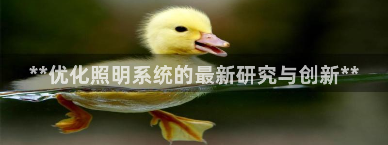 **优化照明系统的最新研究与创新**