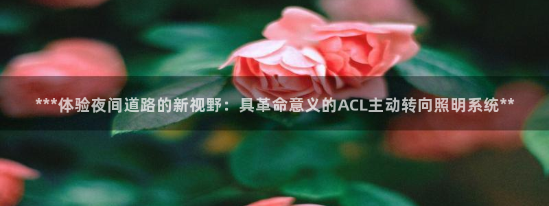 ***体验夜间道路的新视野:具革命意义的ACL主动转向照明系统**