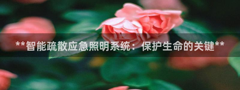 **智能疏散应急照明系统：保护生命的关键**