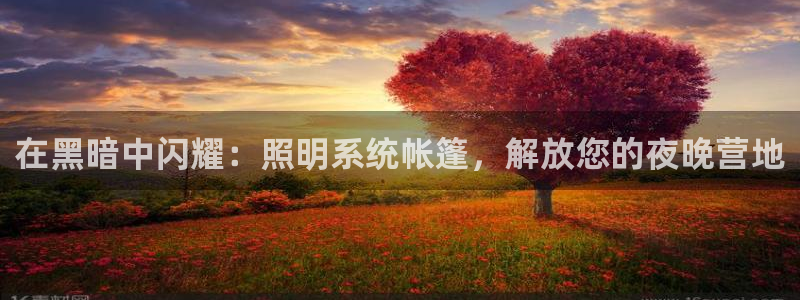在黑暗中闪耀：照明系统帐篷，解放您的夜晚营地