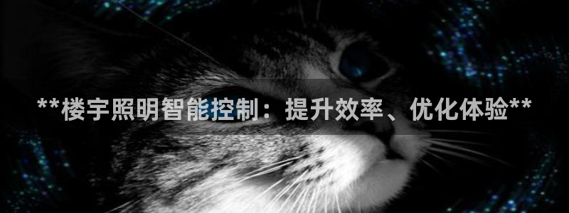 **楼宇照明智能控制:提升效率、优化体验**