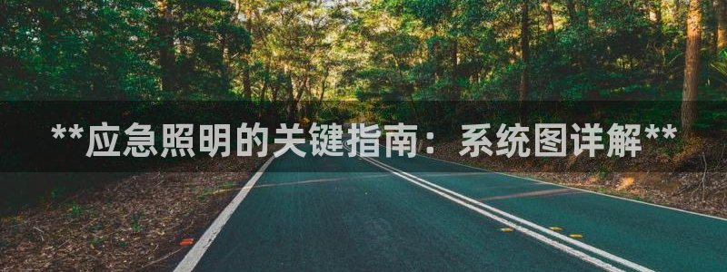 **应急照明的关键指南：系统图详解**