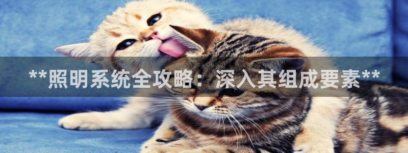 **照明系统全攻略：深入其组成要素**