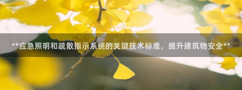 **应急照明和疏散指示系统的关键技术标准，提升建筑物安全**