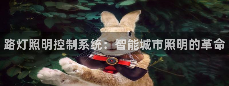 路灯照明控制系统：智能城市照明的革命