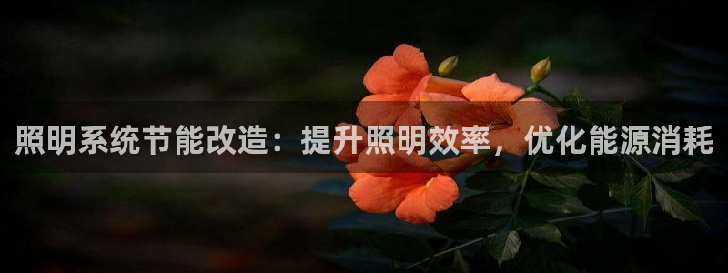 照明系统节能改造:提升照明效率,优化能源消耗