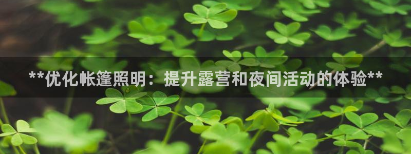 **优化帐篷照明：提升露营和夜间活动的体验**