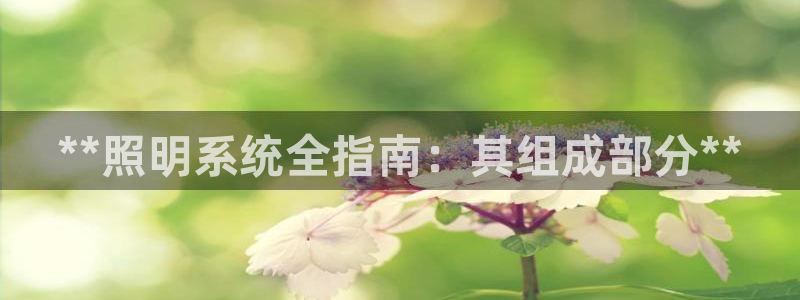 **照明系统全指南：其组成部分**