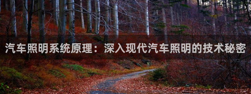 汽车照明系统原理:深入现代汽车照明的技术秘密