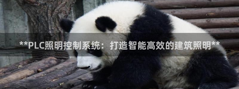 **PLC照明控制系统:打造智能高效的建筑照明**