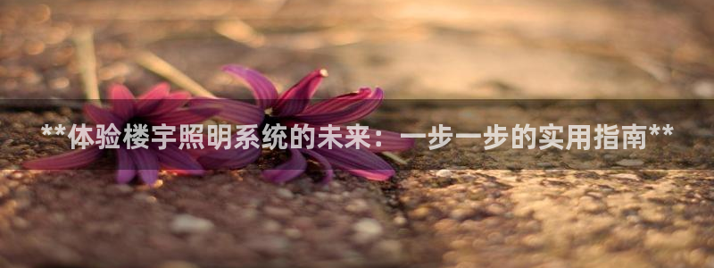 **体验楼宇照明系统的未来：一步一步的实用指南**