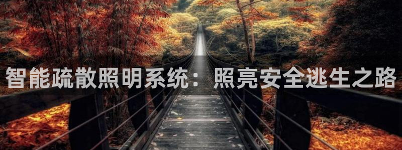 智能疏散照明系统：照亮安全逃生之路