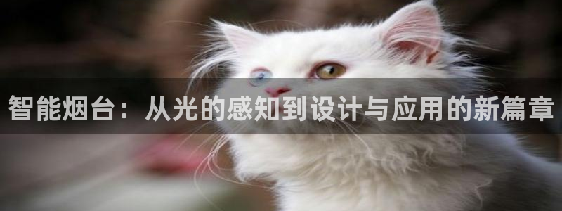 智能烟台：从光的感知到设计与应用的新篇章