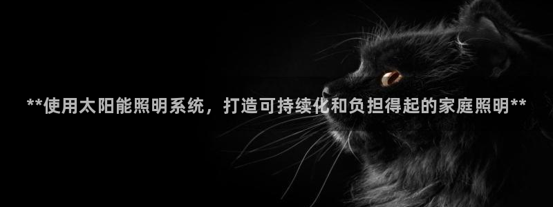 **使用太阳能照明系统,打造可持续化和负担得起的家庭照明**