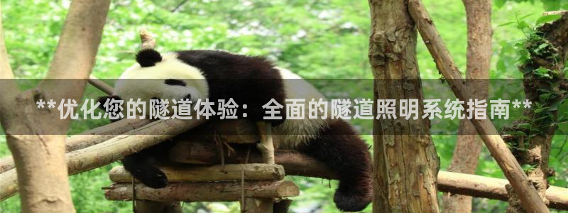 **优化您的隧道体验：全面的隧道照明系统指南**