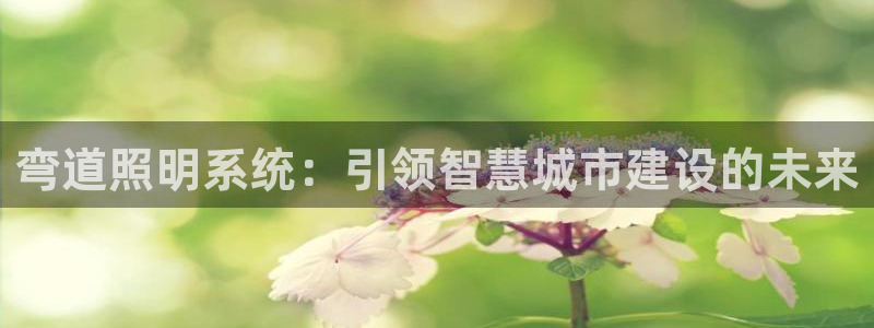 弯道照明系统:引领智慧城市建设的未来