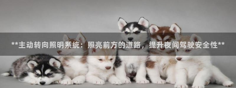 **主动转向照明系统:照亮前方的道路,提升夜间驾驶安全性**