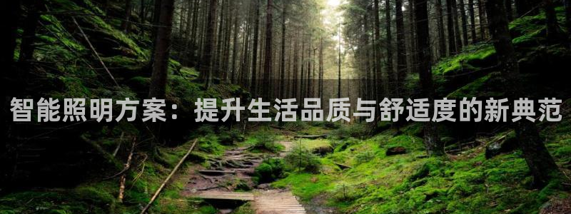 智能照明方案：提升生活品质与舒适度的新典范