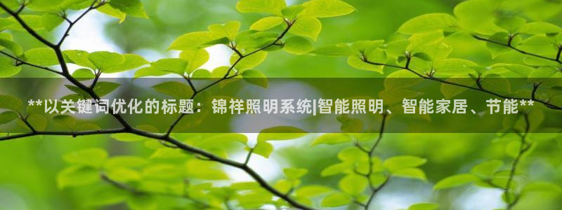 **以关键词优化的标题：锦祥照明系统|智能照明、智能家居、节能**