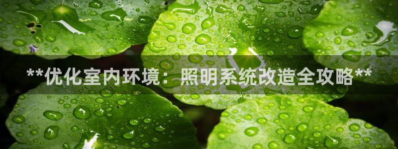 **优化室内环境：照明系统改造全攻略**