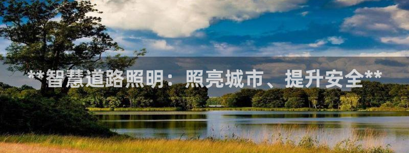 **智慧道路照明：照亮城市、提升安全**