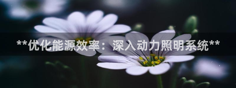 **优化能源效率：深入动力照明系统**
