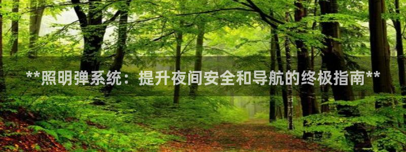 **照明弹系统：提升夜间安全和导航的终极指南**