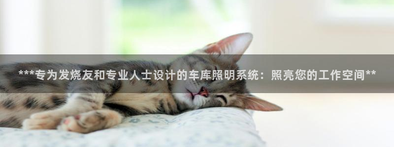 ***专为发烧友和专业人士设计的车库照明系统：照亮您的工作空间**