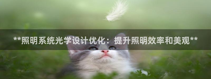 **照明系统光学设计优化：提升照明效率和美观**
