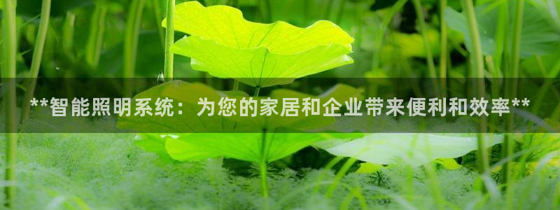 **智能照明系统：为您的家居和企业带来便利和效率**